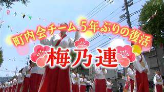 「家族のような絆」５年ぶりに参加した町内会チーム“梅乃連”　地域でつなぐ“よさこい祭り”