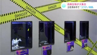 「意外な生き物が毒を持っていたり、おもしろい」危険生物が大集合　“コウチノ毒展”