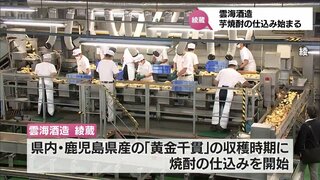 今年の芋焼酎の仕込み始まる　 雲海酒造綾蔵　1日あたり一升瓶3万2000本を生産