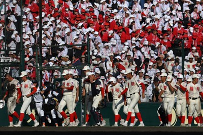 夏の甲子園、優勝経験校が全て姿消す　どのチームが勝っても初優勝