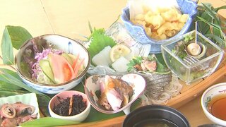 「夏イカ＆サザエフェア」飲食店3店舗で開催　大分・佐伯市