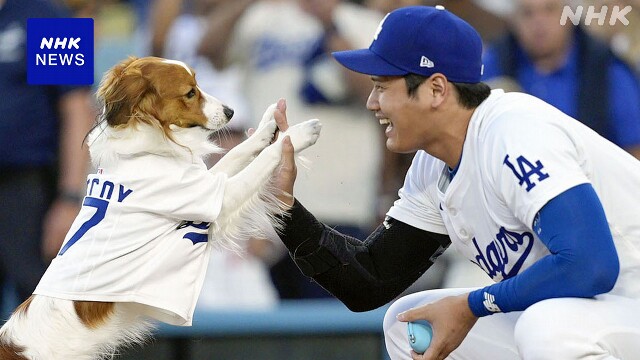 ドジャース 大谷とデコピン首振り人形配布 デコピンと始球式も