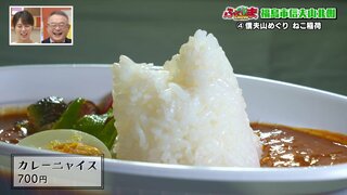 「カレーニャイス！？」毎月22日は「にゃんにゃん」の日　猫祭りを開催【ふくしまSHOW】