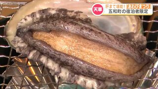 コリコリ！旬を味わう『あわびまつり』民宿などで開催中 「肉厚・大ぶりに育ってます」　熊本・天草市