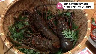 「伊勢えび」を堪能　宮崎県内の飲食店で開催されるイベントを関係者がPR