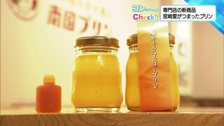 「宮崎から広めていきたい」宮崎への思いがつまったプリン専門店の新商品