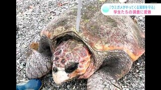 ウミガメの産卵が見られなくなる！？全国有数の産卵地を守ろうと学生たちが奮闘！【高知】