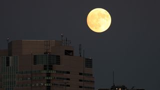 【動画】築地本願寺で「中秋の名月」