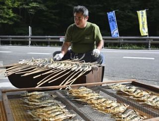 保存食あぶりアユ作り、真っ盛り　熊野古道、秋の風物詩