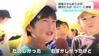 「たのしかった！」５月から成長見守り　園児たちが“稲刈り”体験【高知】