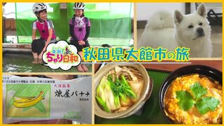 【自転車の旅】神社の“足湯”でポカポカ、創業約100年老舗の“バナナ最中”に舌鼓（秋田県大館市）