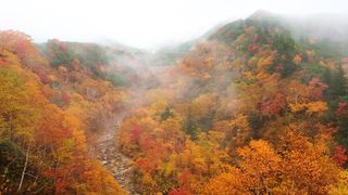 【動画】秋色に染まった十勝岳連峰