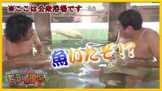 「魚いたぞ!?」外観が船の公衆浴場　水風呂でビックリ仰天！【青森の温泉・銭湯へドライ風呂】