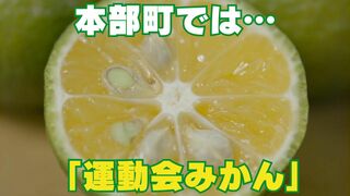 本部町伊豆味で“運動会みかん”と呼ばれる特産…今が旬の「〇ー〇〇ー」