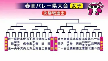 春高バレー岩手県大会組み合わせ　女子　４連覇狙う盛岡誠桜の初戦は岩泉　新人戦優勝の一関修紅は盛岡商