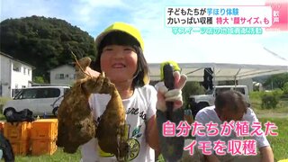 「重いよ 、でかいよ、大物がとれました！」“芋ほり体験” 顔サイズのサツマイモも　保育園の園児によるサツマイモの収穫体験