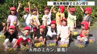 「大月のミカン最高！」観光果樹園で地元の園児たちがミカン狩り　笑顔で頬張る（高知）