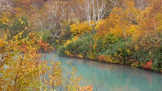 【動画】地獄に映る鮮やかな紅葉