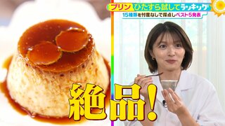 ひたすら試してランキング「プリン」フランス伝統レシピVS新鮮たまご　ローソン＆ファミマのコンビニ勢猛追「シンプルだからこそ難しい」第１位は？【MBSサタデープラス（サタプラ）】」