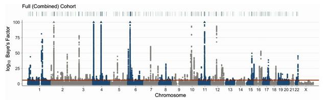 痛風の発症、炎症の起きやすさも関係　世界262万人の遺伝子を解析