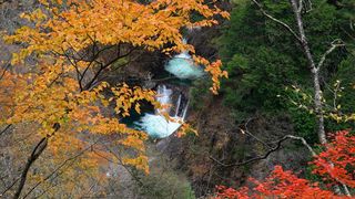 【動画】西沢渓谷で紅葉が見頃　山梨