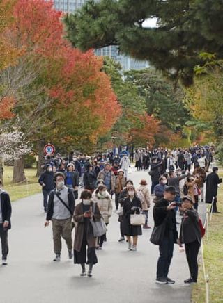 秋の皇居・乾通り一般公開　30日から9日間