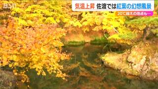 色鮮やかな“紅葉”が水面に映し出される「鏡池」も！『紅葉山公園』が見ごろ　新潟県佐渡市