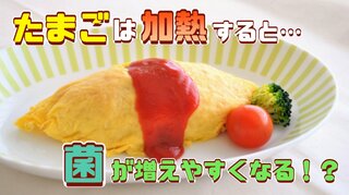 卵は “ 生 ” より “ 加熱 ” で菌が増えやすくなる！ 間違った扱い方をしてしまうと食中毒のリスクも 安全に食べるには？