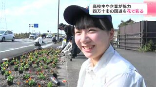 「みんなに見てもらえてうれしい」高校生や企業が協力　国道を花で彩る