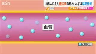 11月14日は『世界糖尿病デー』大切なのは 早期発見 そして低炭水化物食と運動「糖尿病」は怖くない！