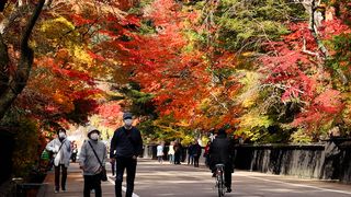 【動画】武家屋敷の紅葉が見頃