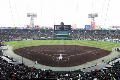 夏の甲子園、2部制など暑さ対策の評価や効果は?　代表49校調査