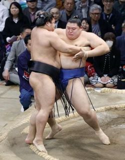 ３大関安泰、大の里は７勝目　琴桜、豊昇龍は１敗キープ