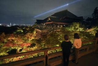 色づくモミジ、闇夜に淡く　京都・清水寺で試験点灯