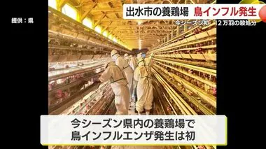 鹿児島・出水市の養鶏場で鳥インフル発生　今シーズン初　１２万羽の殺処分