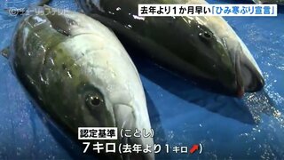 「ひみ寒ぶり宣言」 で本格的な寒ブリシーズン始まる　前年より1か月早く 富山・氷見市