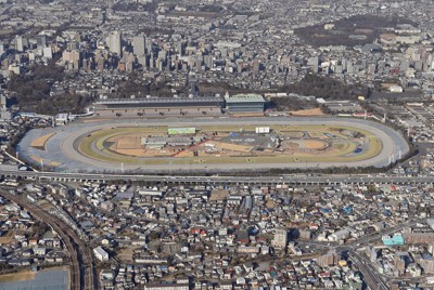 競馬・ジャパンカップの枠順決まる　外国勢VS日本勢に注目