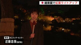 例年より遅れて色づき　紅葉ライトアップ　広島市の縮景園で　12月1日まで