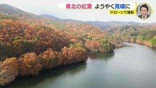 「こんなにきれいだと思っていなかった」ドローンで撮影　ようやく県北の紅葉が見頃　広島