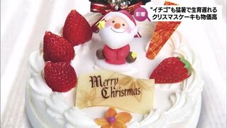 クリスマスケーキにも物価高の波　イチゴも生育遅れ　一方で新しいトレンドも