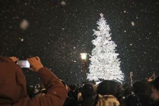 雪の函館、きらめくツリー　港町にクリスマスの足音