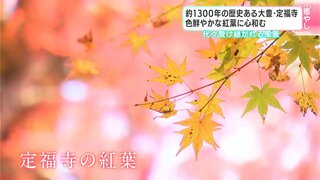 約１３００年の歴史ある高知県大豊町の定福寺　色鮮やかな紅葉に心和む