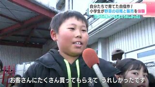 「たくさん買ってもらえて、うれしかった」自分たちで育てた自信作！　小学生が野菜の収穫と販売を体験