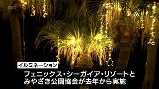 波の音と光の幻想的な世界　宮崎市のサンビーチ一ツ葉でイルミネーション「Starfall SEA Night」