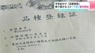 発見はなんと1955年ごろ！突然変異とみられるコメが半世紀をかけ「品種登録」　香り豊かなコメ『十和』販売開始