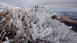 【動画】冬到来、阿蘇山に白く輝く霧氷