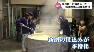 酒蔵に米を蒸す白い蒸気と甘い香りが漂う　宮崎県内唯一の清酒専門メーカー「千徳酒造」で新酒の仕込みが本格化