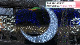 海の生き物にクリスマス　高知県大月町の夜を彩る“イルミネーション”