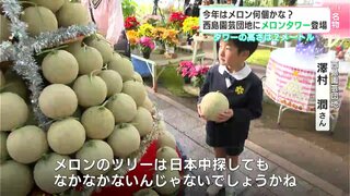 「すごい！楽しかった！」今年はメロン何個かな？　西島園芸団地にメロンタワー登場