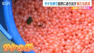 稚魚ではなく“卵”でサケを放流「漁獲高が少なくても持続する新たなしくみ」新潟県立海洋高校